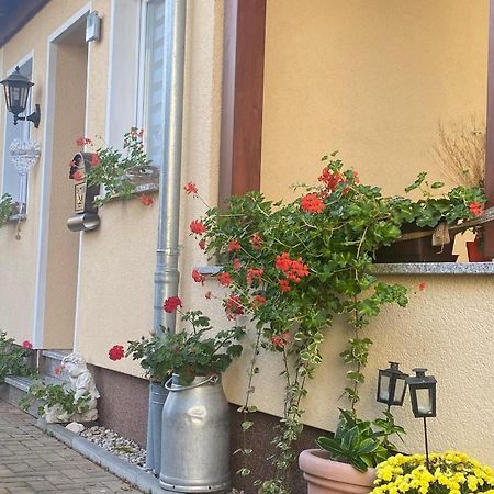 Ferienwohnung „Thea“ Bad Lausick Eksteriør bilde